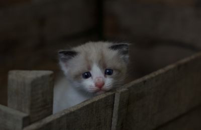 Έρχεται αισθητή πτώση θερμοκρασίας