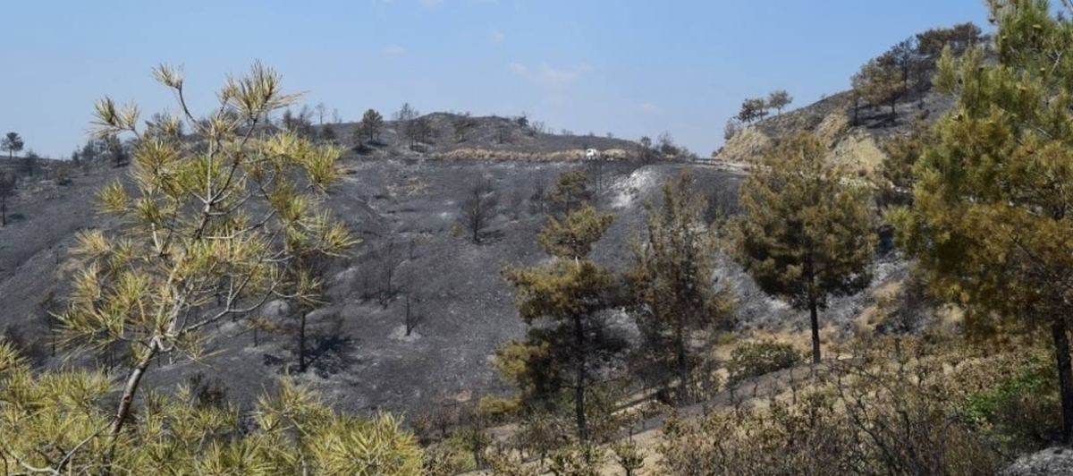 Τεράστια η οικολογική καταστροφή στην Ορά