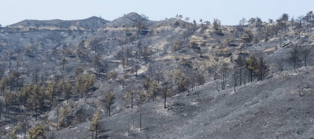 Τεράστια η οικολογική καταστροφή στην Ορά