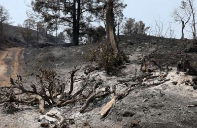 Αγνώριστη η Τόνια Σωτηροπούλου