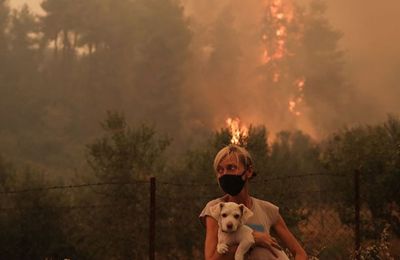 Πρέπει να δείτε τα νέα μποτάκια για σκύλους