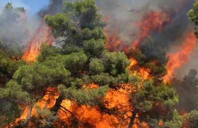 Μέικ λαβ νοτ γουόρ!