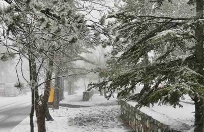 Οι αγορές που θα μας φτιάξουν τη διάθεση λίγο πριν τον Δεκέμβρη