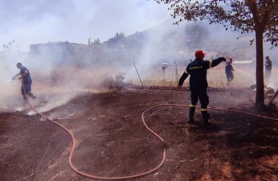 Πρέπει να δείτε τα νέα μποτάκια για σκύλους