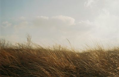 Ισχυροί άνεμοι στο καιρικό «μενού»